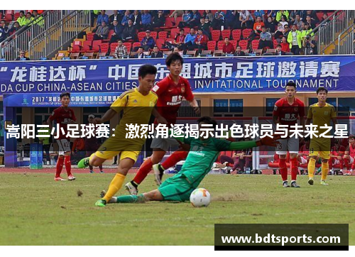 嵩阳三小足球赛：激烈角逐揭示出色球员与未来之星