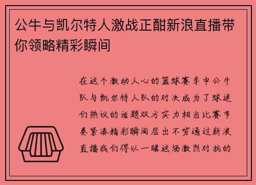 公牛与凯尔特人激战正酣新浪直播带你领略精彩瞬间